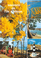 17 ILE D' OLERON   Multivue Souvenir   N° 33 \ML4006 - Ile D'Oléron