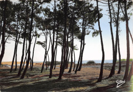 17 ILE D' OLERON   SAINT TROJAN  Les BAINS Plage Et Pins En Bordure De L'Océan      N° 46 \ML4006 - Ile D'Oléron