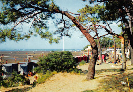 17  RONCE LES BAINS  Sous Les Pins De La Plage De La CEPE    N° 39 \ML4007 - Otros & Sin Clasificación