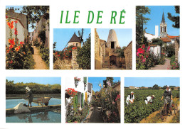 17  ILE DE Ré  Multivue  N° 57 \ML4007 - Ile De Ré