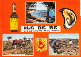 17  ILE DE Ré  Huitres Et Pineau  N° 63 \ML4007 - Ile De Ré