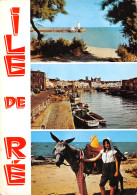 17  ILE DE Ré  La Flotte St Martin Et Ane En Culotte  N° 70 \ML4007 - Ile De Ré