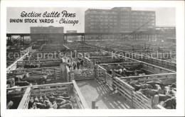 11697185 Chicago_Illinois Section Cattle Pens Union Stock Yards - Altri & Non Classificati