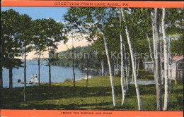 11697064 Lake Ariel Among The Birches Pines Lake Ariel - Sonstige & Ohne Zuordnung