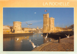 17 LA ROCHELLE Mouettes à L'avant Port  N° 37 \ML4011 - La Rochelle