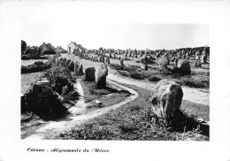 56  CARNAC Alignements Du Ménec  N° 57 \ML4016 - Carnac