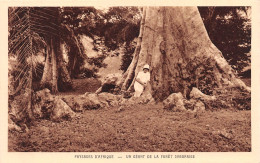 GABON Coopérant Devant Un Baobab   N° 21 \ML4018 - Gabon