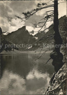 11696423 Seealpsee Mit Saentis Seealpsee - Altri & Non Classificati