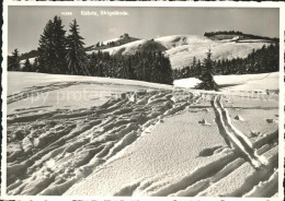 11696418 Gaebris Skigebier Gaebris - Sonstige & Ohne Zuordnung