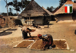 CÔTE-D'IVOIRE ASSOUINDE Séchage Du Café  N° 84 \ML4020 - Costa De Marfil