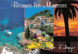 BORMES LES MIMOSAS  Souvenir  N° 52 \ML4023 - Bormes-les-Mimosas