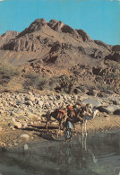 NIGER  Kori Des Monts Tamgak Guelta D'Abeloumat  N° 27   \ML4027 - Níger