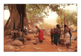 SENEGAL -femmes BEDIKS Préparant Le Repas  Superbe Timbre  N° 32 \ML4030 - Senegal