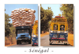 SENEGAL SINE-SALOUM La Route De L'arachide Transport RaamDaan  Beau Timbre N° 38 \ML4030 - Sénégal