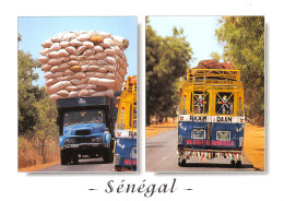 SENEGAL Cars Rapides Et Transport Des Arachides Carte Vierge   N° 40 \ML4030 - Sénégal