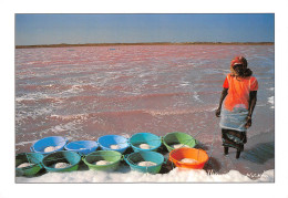 SENEGAL -Lac Retba.ou Lac Rose. Ramassage Du Sel En Bassins Saunier Saunière  Ed Ascani  N° 49 \ML4030 - Senegal