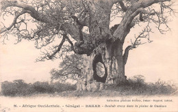 SENEGAL DAKAR Baobab Creux Dans Plaine De Ouakam (2 Scans) N° 57 \ML4033 - Sénégal