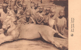 HAUT-CONGO Une Bonne Capture LION Mort Chasse KISANGANI CONGO Belge  (2 Scans) N° 17 \ML4034 - Belgisch-Congo