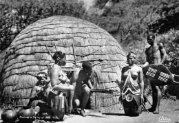AFRIQUE DU SUD South Africa - NATAL  Zulu Jeunes Femmes Seins Nus Nude Naked  Nackt Nudo Nuvola  (2 Scans)N° 17 \ML4038 - Südafrika