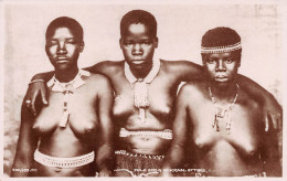 AFRIQUE DU SUD South Africa ZULU GIRLS KRAAL ATTIRE Naked Nackt Nudo Nuvola Desnudo Nues Nudi (2 Scans)N° 39 \ML4038 - South Africa
