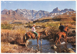 AFRIQUE DU SUD South Africa Drakensberg Mountains NATAL  (scans R/V) N° 44 \ML4038 - Südafrika