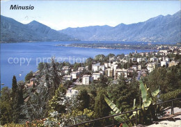 11696144 Minusio Locarno TI Lago Maggiore Minusio - Autres & Non Classés