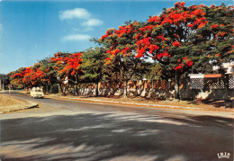 Congo Belge ZAIRE LUBUMBASHI Elizabethville Flamboyants En Fleurs (Scans R/V) N° 40  \ML4039 - Otros & Sin Clasificación