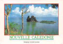 NOUVELLE CALEDONIE   Hienghene : La Poule Couveuse   (Scans R/V) N° 21 \ML4040 - Nouvelle Calédonie
