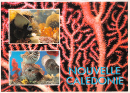 NOUVELLE CALEDONIE  Merveilles Du Lagon  éd Solaris Nouméa     (Scans R/V) N° 26 \ML4040 - Nouvelle Calédonie