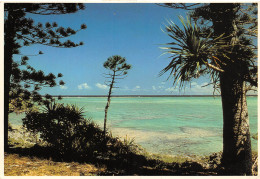 NOUVELLE CALEDONIE  L'île Des Pins  éd Solaris Nouméa   (Scans R/V) N° 32 \ML4040 - Nouvelle Calédonie