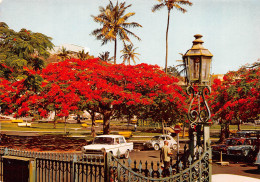 NOUVELLE CALEDONIE  Nouméa La Place Des Cocotiers  (Scans R/V) N° 53 \ML4040 - Nouvelle Calédonie