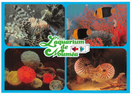 NOUVELLE CALEDONIE  Nouméa  L'aquarium    (Scans R/V) N° 57 \ML4040 - Nouvelle Calédonie