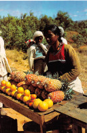 MADAGASCAR  Fruits Des Hauts Plateaux  (Scans R/V) N° 2 \ML4041 - Madagaskar