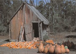 MADAGASCAR  La Cabane à Mais Et Cruches En Terre Cuite Tananarive Antananarivo Carte Vierge  (Scans R/V) N° 15 \ML4041 - Madagaskar