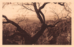 MADAGASCAR  Ville Et Plaine, Vue D'Ambohisatovo   (Scans R/V) N° 53 \ML4041 - Madagaskar