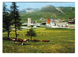 SESTRIERE - Panorama - Autres & Non Classés