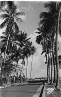 Guinée Française Conakry Le Phare De Boulbinet Au Bout De La Corniche  Vierge Non Voyagé   (Scans R/V) N° 56 \ML4050 - Guinée Française