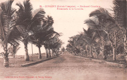 Guinée Française Conakry Promenade Boulevard Circulaire Carte Vierge Non Voyagé   (Scans R/V) N° 62 \ML4050 - Frans Guinee