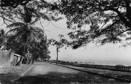 Guinée Française Conakry  La Corniche  (Scans R/V) N° 82 \ML4050 - Guinée Française