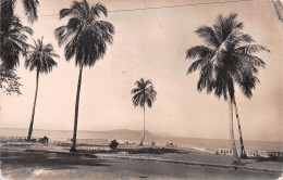 Guinée Française Conakry  Un Coin De La Corniche Vierge Non Circulé  (Scans R/V) N° 84 \ML4050 - French Guinea