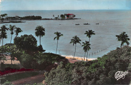 Guinée Française Conakry   IFAN Institut Française D'Afrique Noire Et La Corniche Joli Timbre (Scans R/V) N° 78 \ML4050 - Französisch-Guinea