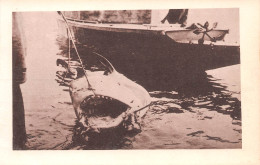 CONAKRY Guinée Française VIALLA FRANCOIS Peche Au Requin  (Scans R/V) N° 45 \ML4053 - French Guinea