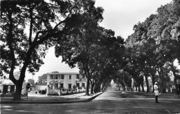 CONAKRY Guinée Française L'avenue Du Gouvernement Et La Chambre De Commerce Non Circulé  (Scans R/V) N° 35 \ML4054 - Guinée Française