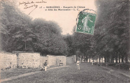 17  SURGERES  Remparts Du Chateau Et Allée Des Marronniers (Scans R/V) N° 17 \ML4059 - Surgères