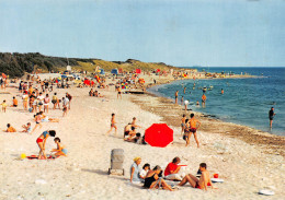 17 île De Ré  Sainte Marie La Plage De La NOUE  (Scans R/V) N° 27 \ML4061 - Ile De Ré