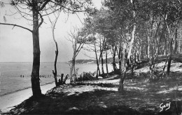 17 Ronce-les-Bains  La Tremblade La Plage échappée Vers La Cèpe (Scans R/V) N° 62 \ML4068 - La Tremblade