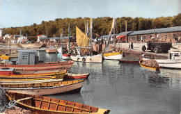 17 île D' Oléron SAINT TROJAN LES BAINS Barques Et Bateaux De Pêche Au Port  (Scans R/V) N° 25 \ML4069 - Ile D'Oléron