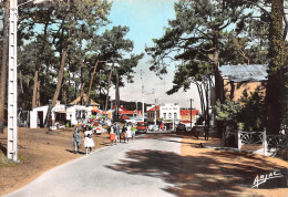 17 île D' Oléron SAINT TROJAN LES BAINS Route De La Plage  (Scans R/V) N° 41 \ML4069 - Ile D'Oléron