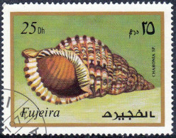 1972 - FUJEIRA - VIDA MARINA - CHARONIA TRITONIS - MICHEL 1023 - Fujeira