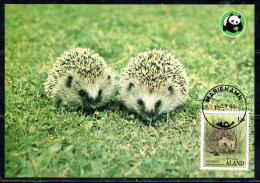 ALAND 1989 1994 1991 FAUNA ANIMALS ERINACEUS EUROPAUUS 1.60m MAXI MAXIMUM CARD CARTE - Aland